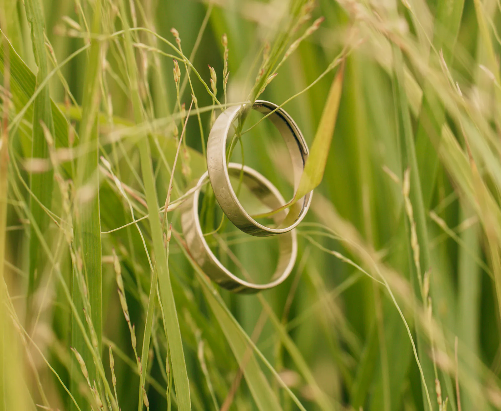 Eheringe im hohen Gras – Hochzeiten im Pitzlloch